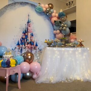 Princess Party photo zone, party backdrop